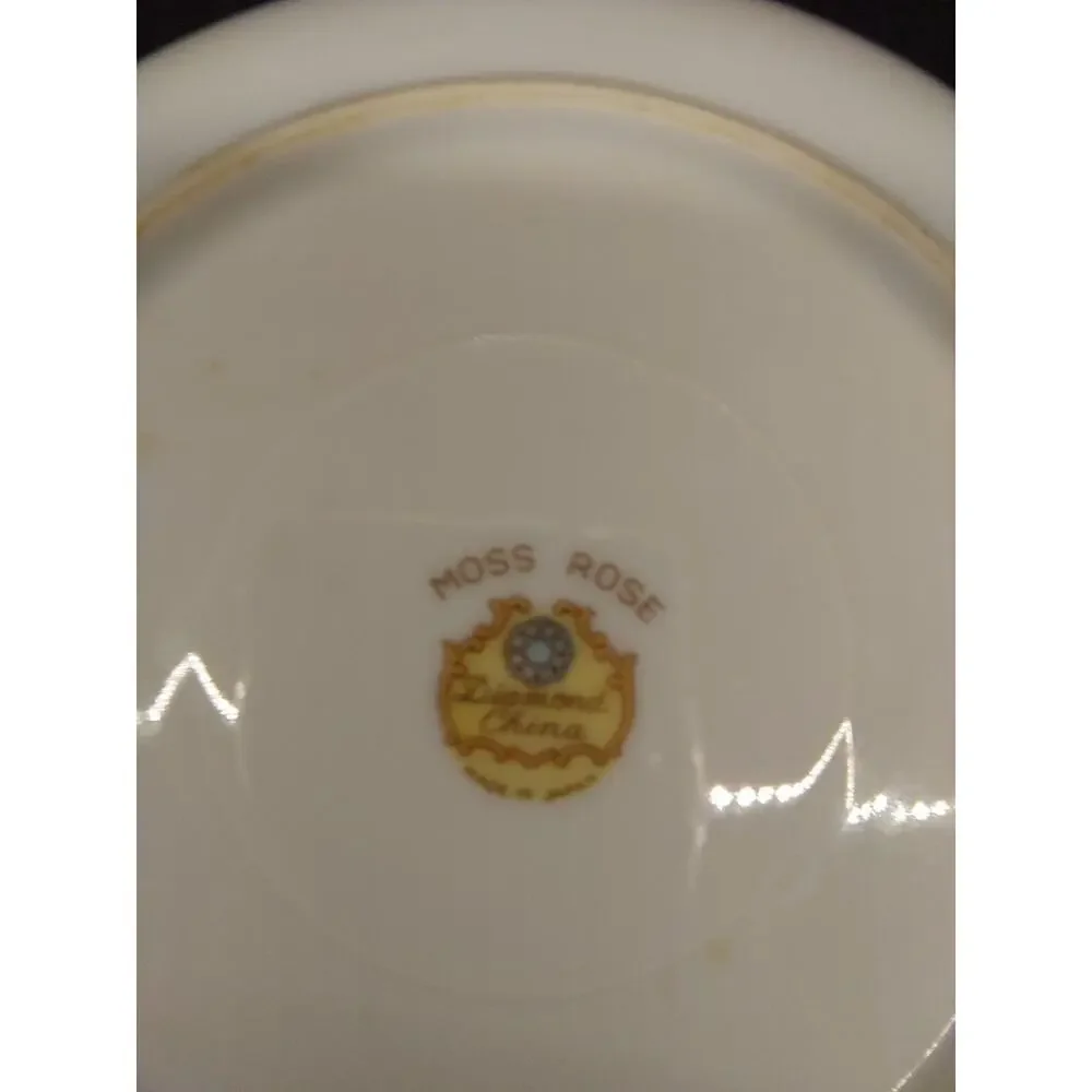 Vintage Diamond China Moss Rose 4 Pc Place Setting Tea Cup Saucer Plates Japan